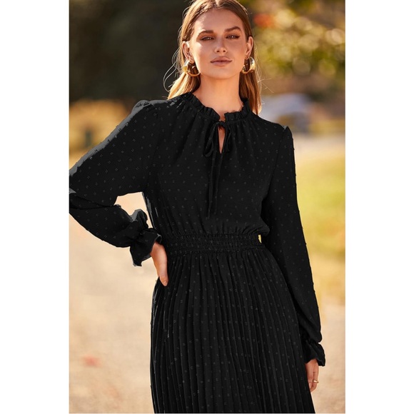 Long Sleeve V Neck Swiss Dot Pleated A Line Flowy Black Dress Wedding Formal - Picture 4 of 10